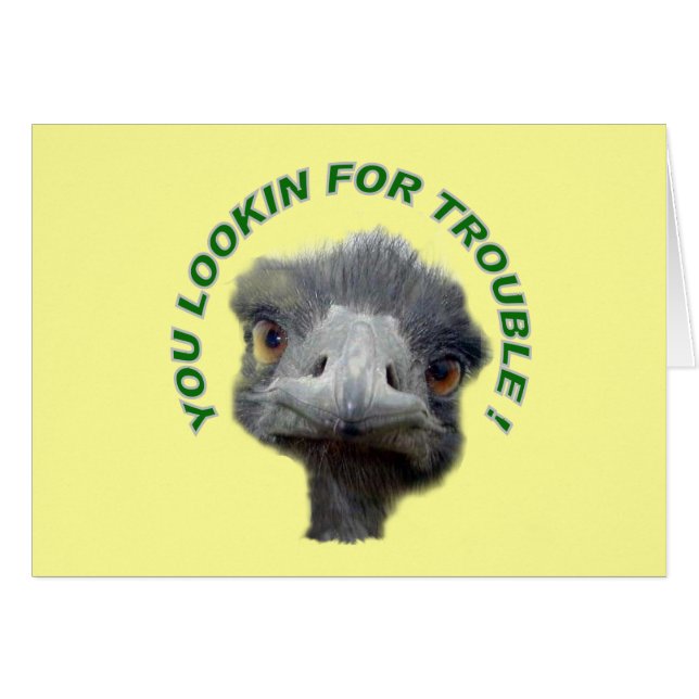 Ostrich trouble (Front Horizontal)