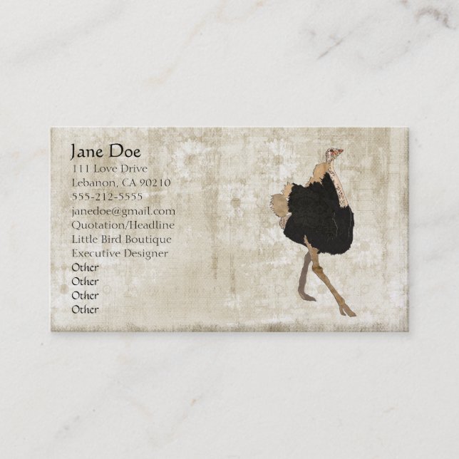 Ostrich White Vintage Business Cards (Front)