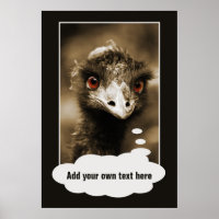 Ostriches Look custom poster