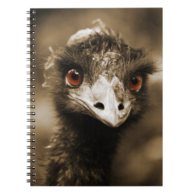Ostriches Look notebook (Front)