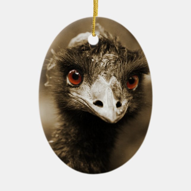 Ostriches Look ornament (Front)