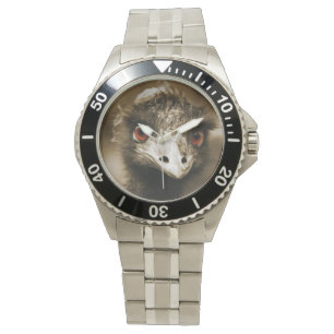 Ostriches Look watches
