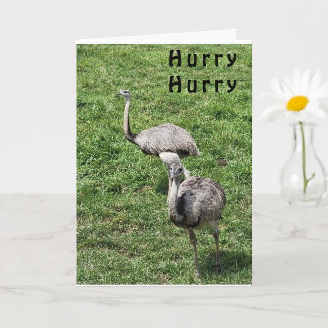 OSTRICHES SAYS HAPPY **APRIL BIRTHDAY** CARD (Small Plant)