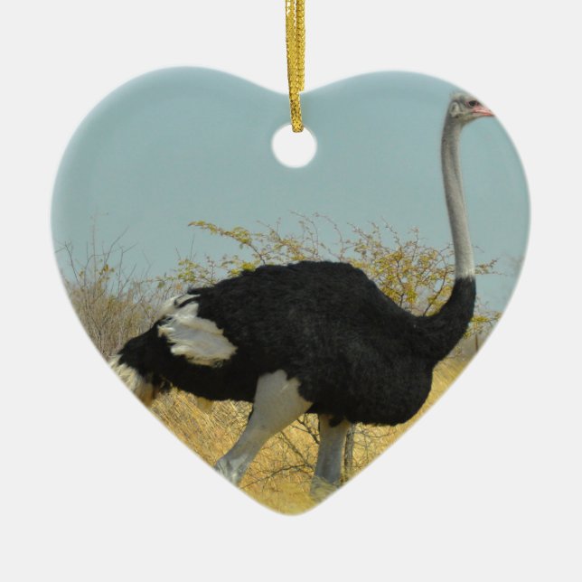 Ostrige out for a run ceramic tree decoration (Front)