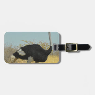 Ostrige out for a run luggage tag