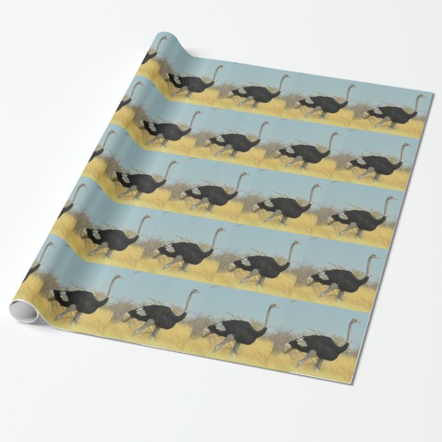 Ostrige out for a run wrapping paper (Unrolled)
