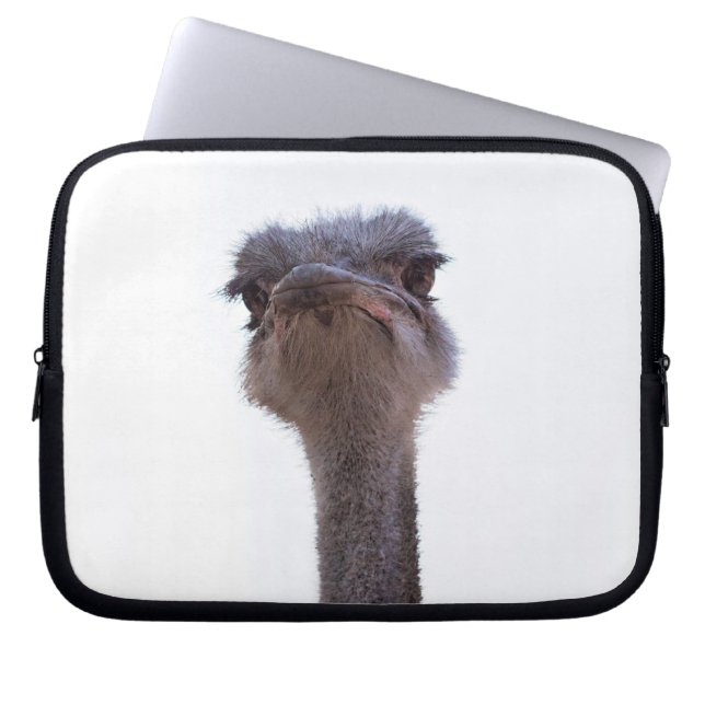Ostrish Coffee Mug Invitation Keychain Laptop Sleeve (Front)