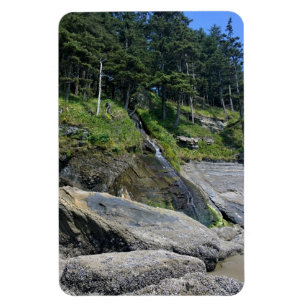 Oswald West State Park, Oregon Coast Magnet