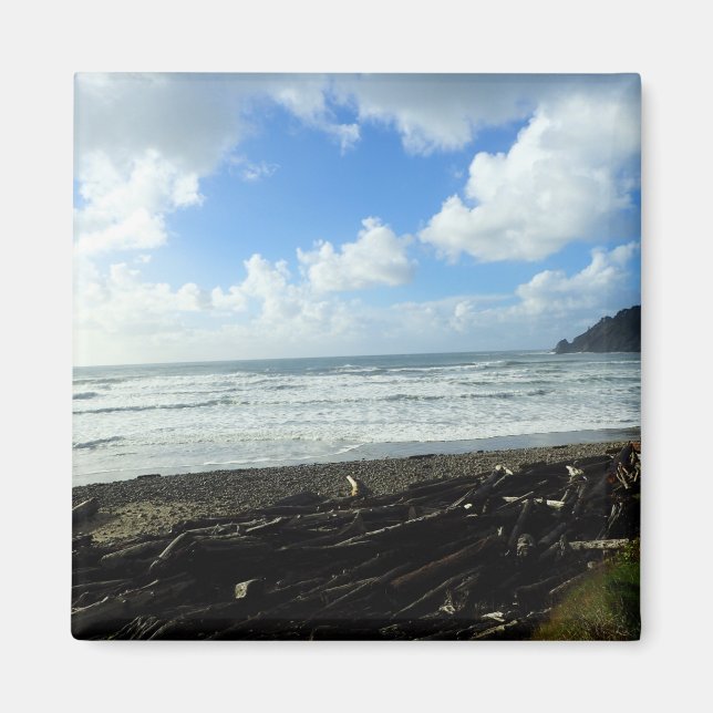 Oswald West State Park, Oregon Coast Magnet (Front)