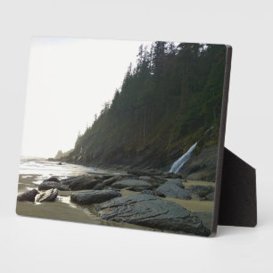 Oswald West State Park, Oregon Coast Plaque