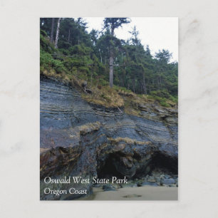 Oswald West State Park, Oregon Coast Postcard
