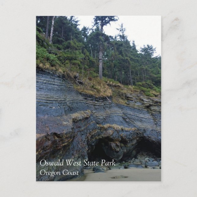 Oswald West State Park, Oregon Coast Postcard (Front)