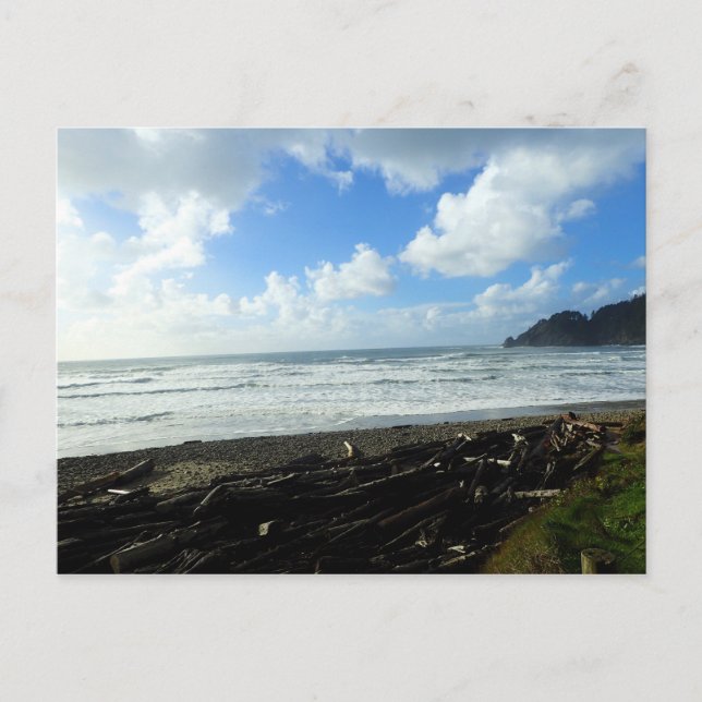 Oswald West State Park, Oregon Coast Postcard (Front)
