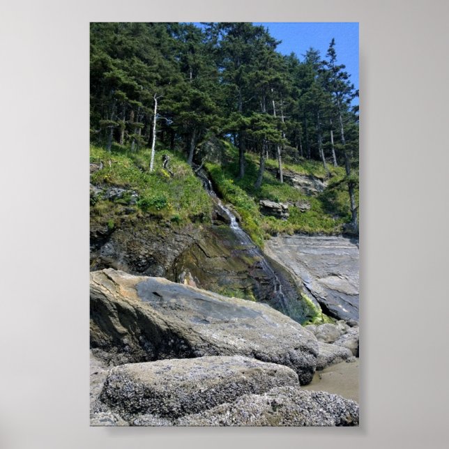 Oswald West State Park, Oregon Coast Poster (Front)