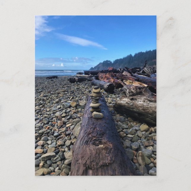 Oswald West State Park, Oregon Postcard (Front)