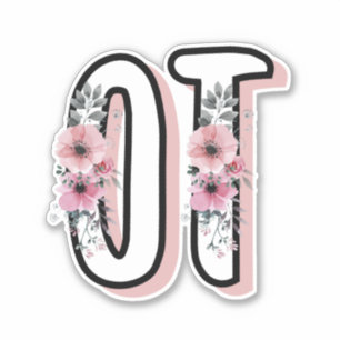 OT Occupational Therapy   Occupational therapist