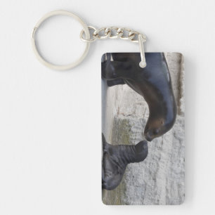 Otaria flavescens key ring