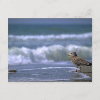 other side of sea postcard