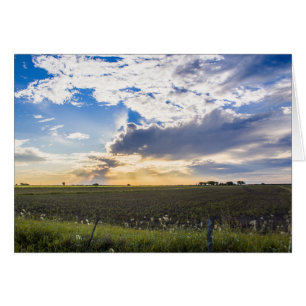 Other Sunset