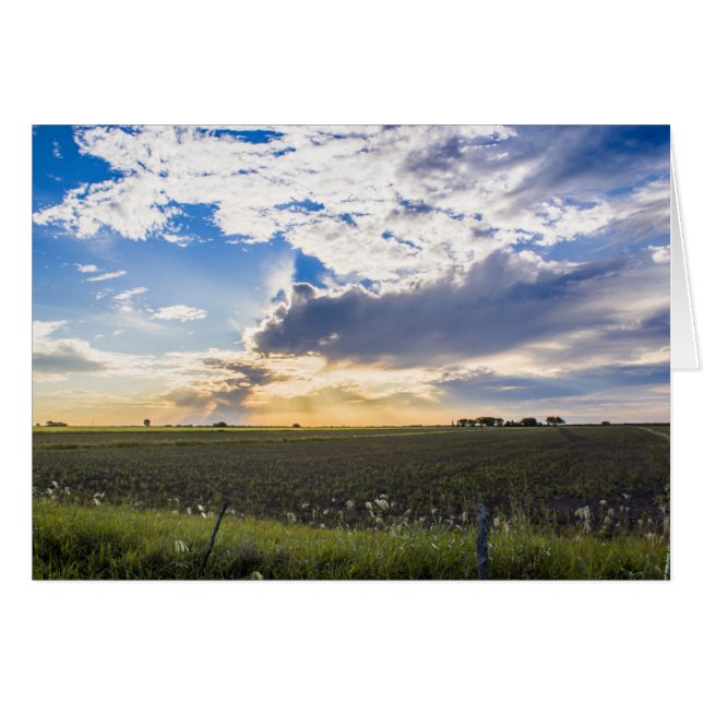Other Sunset (Front Horizontal)