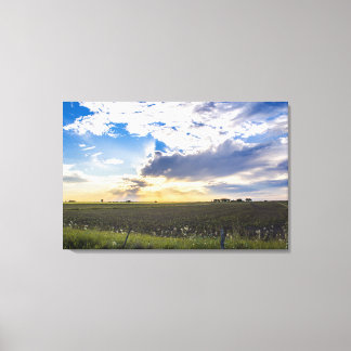 Other Sunset Canvas Print