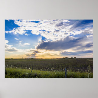 Other Sunset Poster