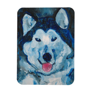 Otis in Blue Magnet