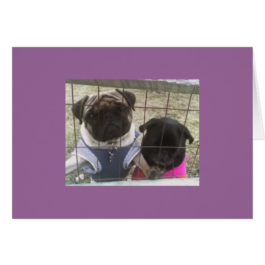 Otis & Maddie card