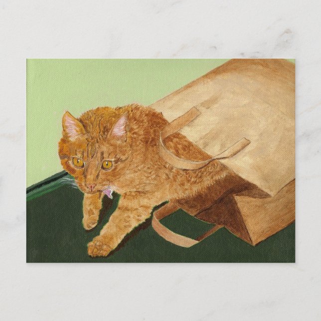 Otis the Cat Postcard (Front)