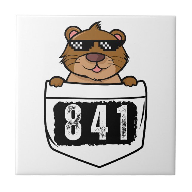 Otter 841  tile (Front)
