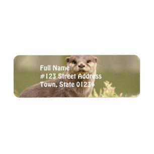 Otter Address Labels