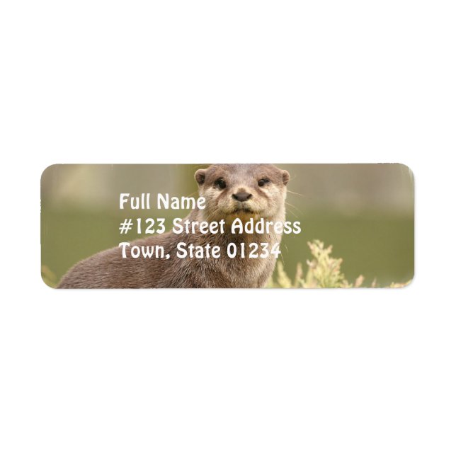 Otter Address Labels (Front)