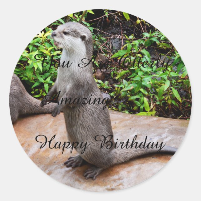 Otter Amazing Happy Birthday, Round Stickers. Classic Round Sticker (Front)
