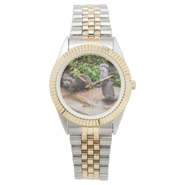 Otter Be Talking, Watch (Front)