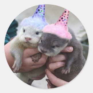otter birthday classic round sticker