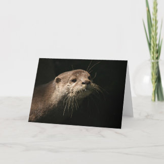 Otter Card