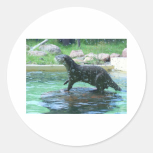 Otter Classic Round Sticker