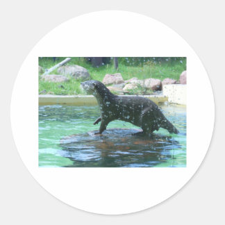 Otter Classic Round Sticker
