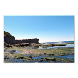Otter Crest Beach Oregon  Photo Print