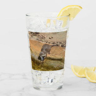 Otter Eating Otterly Delicious Fish, Glass