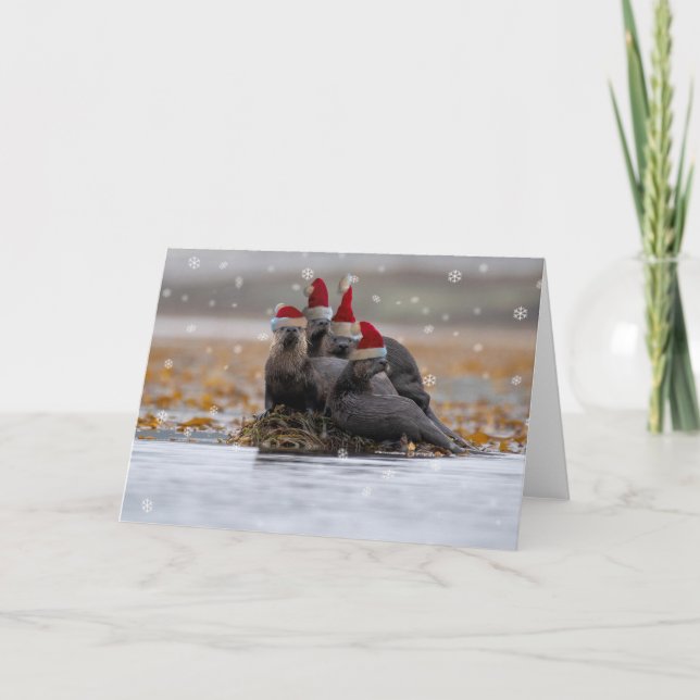 Otter Family Christmas Card (Front)