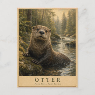 Otter Forest Rivers VINTAGE Postcard