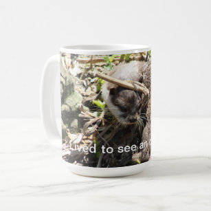 Otter funny coffee mug