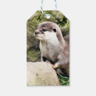OTTER GIFT TAGS