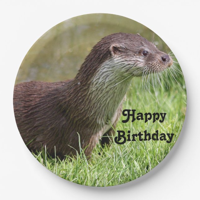 Otter Grass Wildlife Photo Birthday Paper Plate (Front)