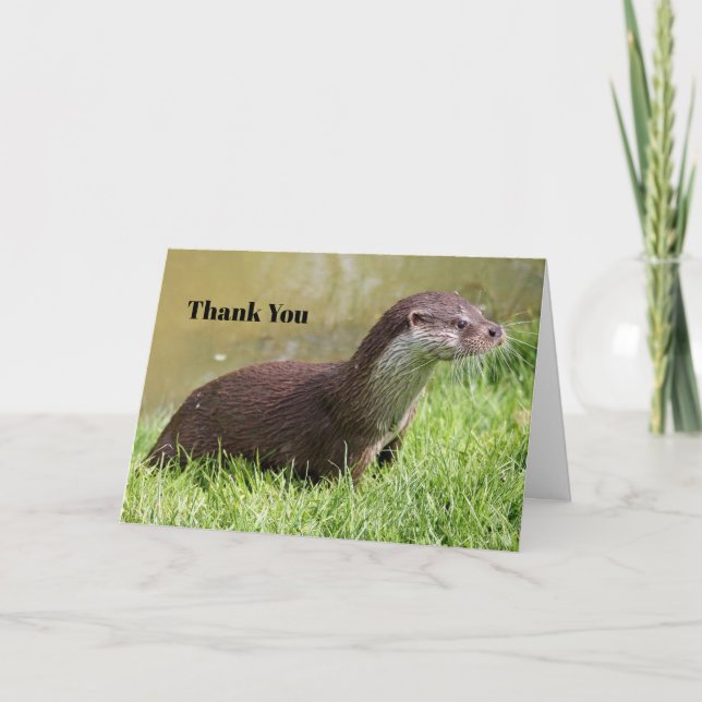 Otter Grass Wildlife Photo Thank You Card (Front)