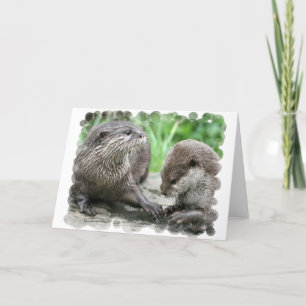 Otter Habitat Greeting Cards