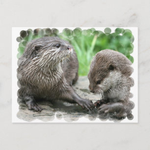 Otter Habitat Postcards
