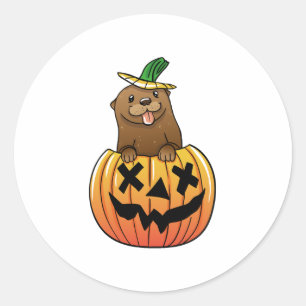 Otter Halloween  Classic Round Sticker