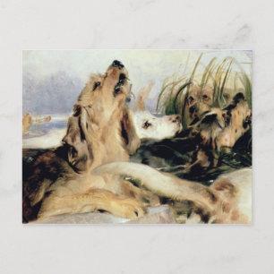 Otter Hounds Postcard